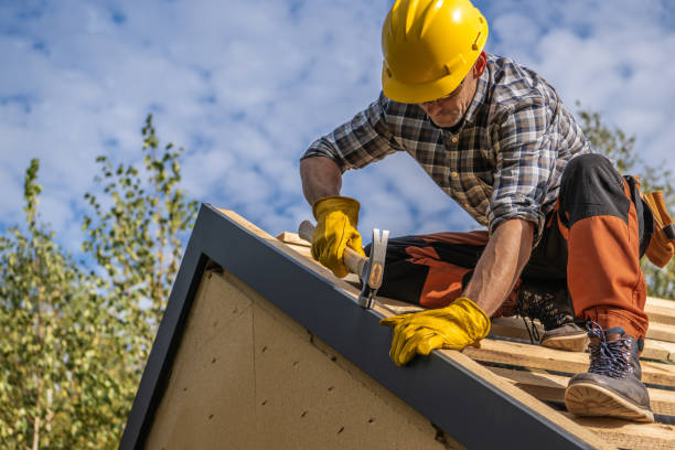 Best Skylight Installation and Repair  in Orchard Grass Hills, KY